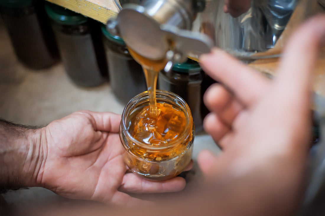 Avoid Crystallization: How Honey Bucket Heaters Maintain Quality and Pourability