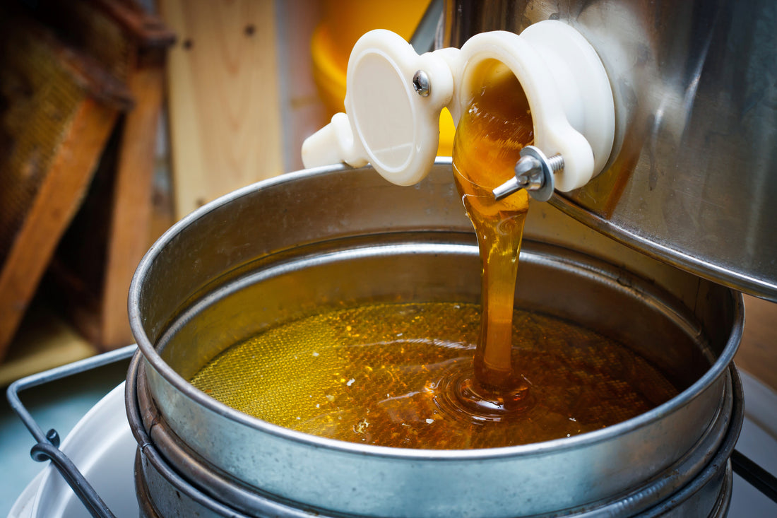 Understanding the Weight of a 55-Gallon Drum of Honey: What You Need to Know