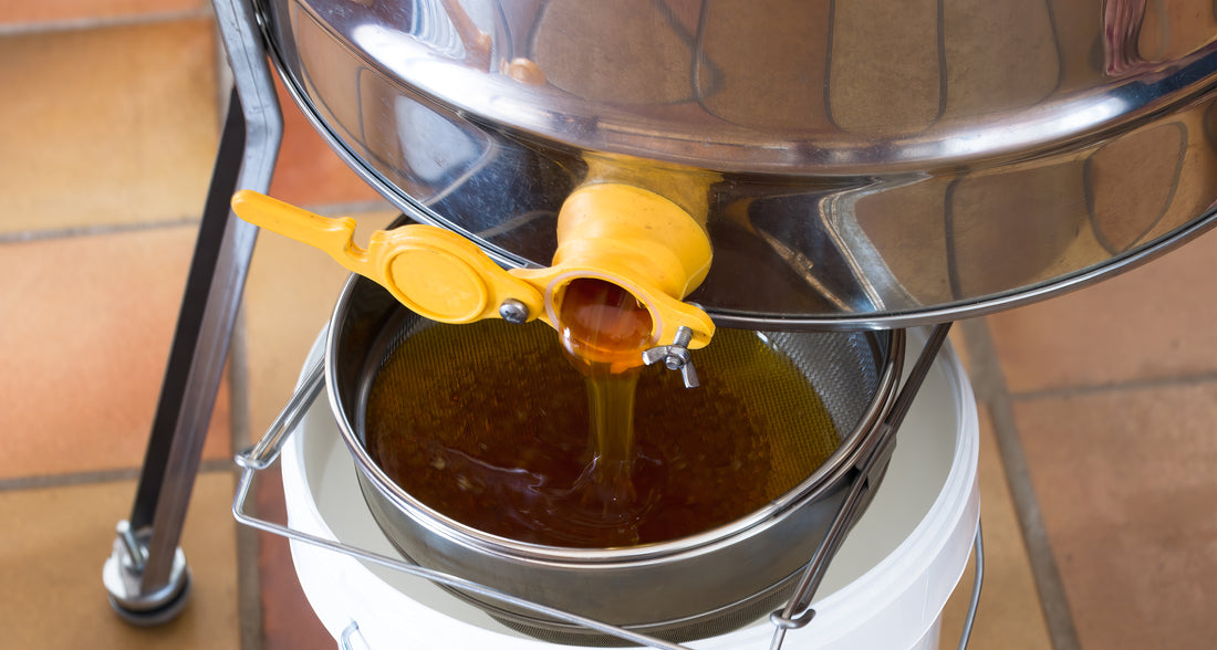 Sweet Liquid Gold: How to Bottle Honey from a 55-Gallon Barrel